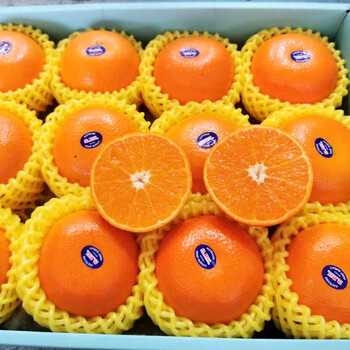 蜜企味礼盒装顺丰2ph澳橘澳洲澳柑当季新鲜水果桔子8斤礼盒装