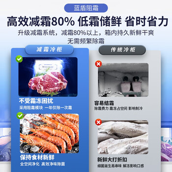 澳柯玛（AUCMA）307升单温冷柜家用减霜大冰柜 冷藏柜冷冻柜转换卧式冰箱雪糕柜一级能效 BC/BD-307HNE 