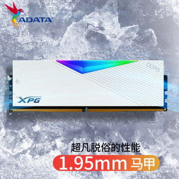 威刚 (ADATA) 龙耀 64GB(32G×2) DDR5 6000 CL30 海力士A die颗粒 电竞RGB内存条 XPG D500G 釉白