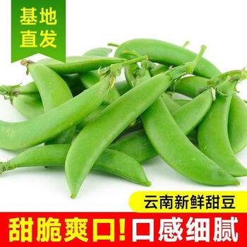 露天甜豆甜蜜豆带壳吃甜脆豌豆新鲜当季蔬菜 现摘现发2斤【图片 价格