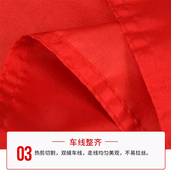欧唛(oumai) 团旗中国共青团团旗 加厚标准款手持纳米防水团旗一面 3号团旗192*128CM