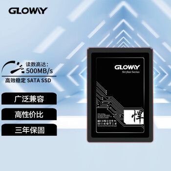 光威（Gloway）256GB SSD固态硬盘｜SATA6Gb/s接口｜悍将系列-高速版119.00元