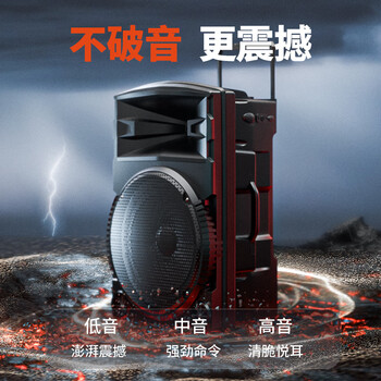 纽曼N522便携广场舞大功率低音炮户外K歌蓝牙拉杆电木吉他民谣乐器音箱移动摆摊喇叭双麦带适配器12吋