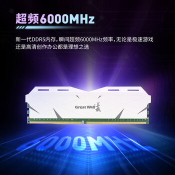 长城（Great Wall）32G(16G*2)套条 DDR5 6000 马甲条 台式机内存条 