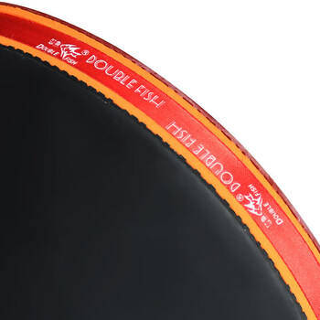 双鱼（DOUBLE FISH）乒乓球拍体育用品乒乓拍横直双拍 拍套+63球  麒麟系列V11