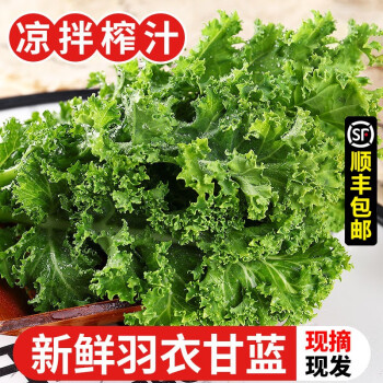 广东羽衣甘蓝新鲜嫩叶甘兰小嫩叶榨汁蔬菜西餐食材作料沙拉新鲜蔬菜1000g 图片价格品牌报价 京东