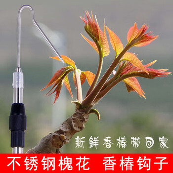 晴文摘椿芽神器勾香椿芽勾子摘春芽钩草杆子够槐花香椿掰香椿工具打香