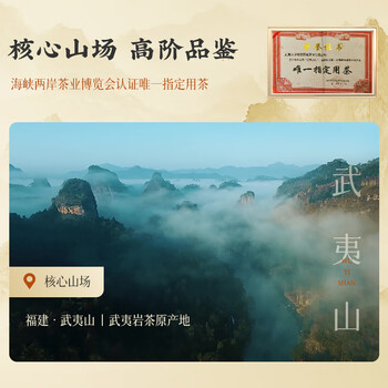 武夷山大红袍探越茶业乌龙茶武夷岩茶象鼻岩肉桂一级250g中火礼盒装茶叶
