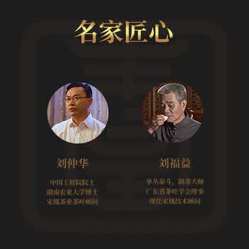 宋凰乌龙茶口粮系列潮州凤凰单丛单枞奇兰香特级100g中火罐装茶叶自饮 宋凰乌龙茶口粮系列潮州凤凰单丛单枞奇兰香特级100g中火罐装茶叶自饮