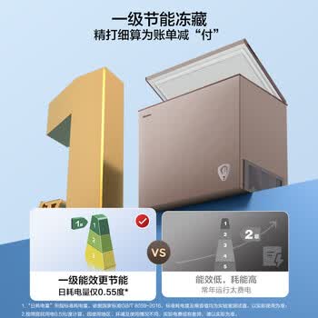 海信（Hisense）200升单温家用冰柜一级能效减霜节能大冷冻BD/BC-200ZNUB
