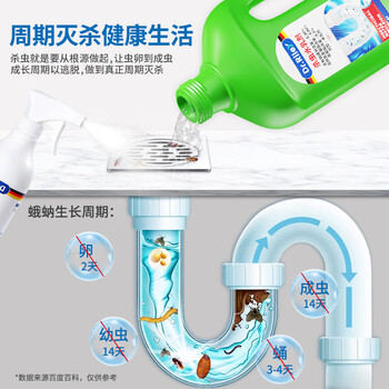 Dr.Riley下水道杀虫剂床虱跳蚤专用喷雾剂厨房管道小飞虫克星臭虫药猫狗