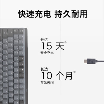 罗技（Logitech）大师系列 MX Mechanical 商务低噪无线双模矮轴机械键盘 智能键盘 全尺寸段落青轴