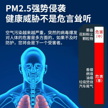 乐优佰易活性炭口罩 50只带呼吸阀加厚防尘防工业专用灰粉尘雾霾甲醛KN95 独立包装