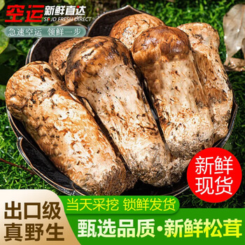 2023新鲜松茸香格里拉松茸高品质未开伞云南特产松茸礼盒装送礼 250g尝鲜装 出口级 不开伞5-7cm【图片 价格 品牌 报价】-京东