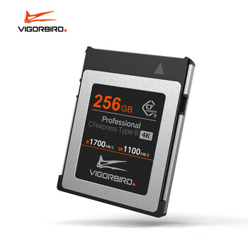 VIGORBIRD Cfexpress存储卡XQD卡CFE Type B相机高速内存卡SD储存卡尼康存储卡 迅猛龙 256GB