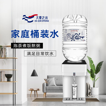 大秦之水 饮用天然泡茶水10L*2桶 会议办公 家庭煮饭健康用水整箱