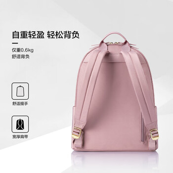 新秀丽（Samsonite）双肩包13英寸电脑包女士背包大学生书包简约时尚旅行包礼物TQ4