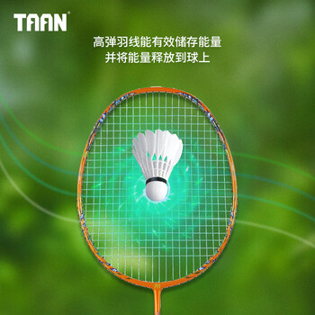 Taan泰昂羽毛球线高弹炫音羽拍专业线击球清脆羽精灵浅湖蓝单条