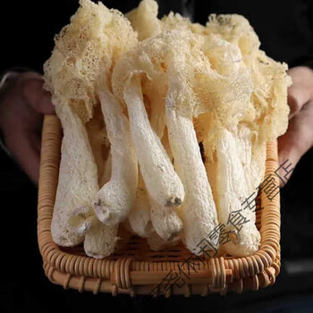 食品饮料>南北干货>菌菇干货>竹荪>京濮飞>京濮飞古田竹荪无硫竹荪新