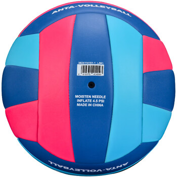 安踏（ANTA）排球【中考训练】比赛专用升级款PU五号中小学体考成人儿童5号