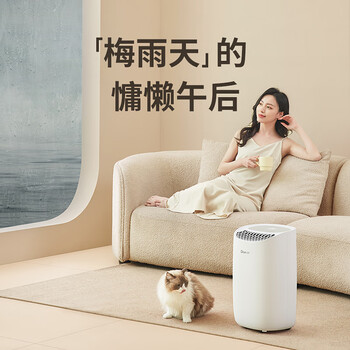 德业（Deye）除湿机/抽湿机 除湿量12升/天 20㎡家用轻音地下室干衣机除湿器 母婴养宠 银离子抗菌DYD-B12A3