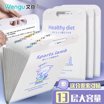 文谷（Wengu）文件夹A4风琴包试卷合同收纳13格初中高考试插页袋大容量手提学生文具办公用品 FQB-013喵的假期C