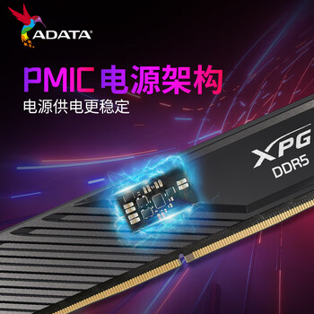 威刚(ADATA) 32GB(16GBX2)套装 DDR5 6400 台式机内存条 海力士A-die颗粒 XPG威龙D300（黑色）C32