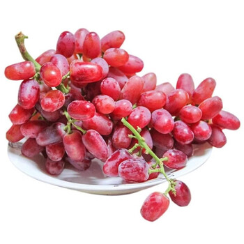 可之源云南克伦生无籽红提葡萄新鲜脆甜红提子当季孕妇水果礼盒 8斤