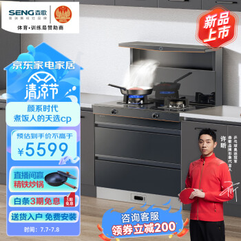 森歌(SENG)海豚系列L1集成灶 集成消毒柜款 二星级消毒一体式吸烟机燃气灶具 家用抽油烟机燃气灶 灰色天然气