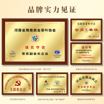 双碑绿茶信阳毛尖特级250g2025年明前罐装新茶春茶自己喝送手提袋