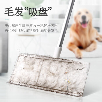 美丽雅静电除尘拖把25cm杆长112cm130张拖布平板免手洗2025迷你夹布