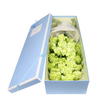 生日鲜花速递粉康乃馨花束礼盒loverose33朵绿色康乃馨礼盒不含花瓶