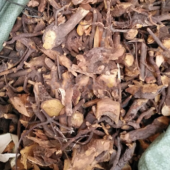 官方旗舰苦里根苦李根狐狸根睇牛仔黎罗根掌牛仔500g