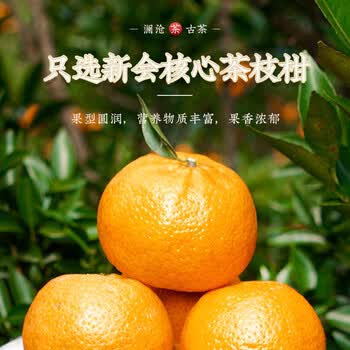 澜沧古茶新会陈皮4年陈200g 2020年罐装礼盒茶妈妈 盒装送礼佳品