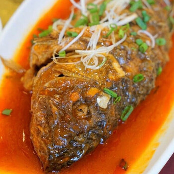 最洽微山湖大鲤鱼新鲜鲜活四鼻鲤鱼大鱼活鱼现杀淡水鲤鱼鲜活现杀一条