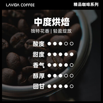 A SOUL ROOT埃塞俄比亚花魁咖啡豆罐装手冲单品中度烘焙200g