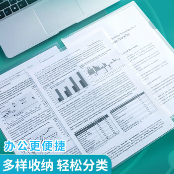 晨光(M&G)文具A4透明文件夹单片两页式文件袋 L型文件夹	单片夹 资料保护袋防尘防水  30个装ADM94515