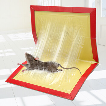 安速日本品牌粘鼠板老鼠贴2枚/盒家用灭鼠捕鼠神器捉捕老鼠 安速日本品牌粘鼠板老鼠贴2枚/盒家用灭鼠捕鼠神器捉捕老鼠