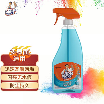 威猛先生  玻璃清洁剂500g*2瓶超值装 浴室车窗清洁剂 不留水痕 去污防尘 持久洁净(新老包装随机）