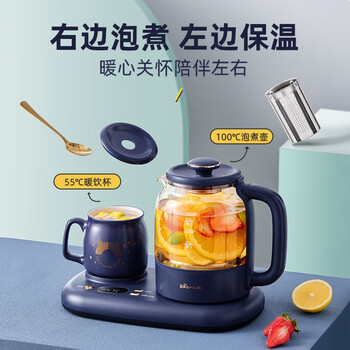 小熊（Bear）迷你养生壶养生杯 烧水壶 煮茶壶 保温杯垫多功能花茶煮茶壶YSH-C08V1蓝色