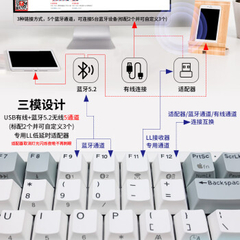 宁芝(NIZ) PLUM mini84三模45g-T系列 静电容键盘 有线蓝牙三模办公键盘 全键自定义 单键调节RT功能