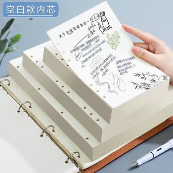 朗捷 B5活页本替换内芯9孔活页纸笔记本本子替换内页空白内芯80张/本可定制