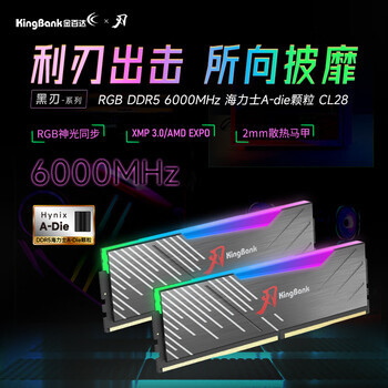 金百达（KINGBANK）32GB(16GBX2)套装 DDR5 6000 台式机内存条海力士A-die颗粒 黑刃RGB灯条 C28 Deepseek硬件