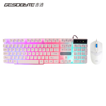 吉选（GESOBYTE）GX11 键鼠套装 有线游戏键鼠套装 办公键鼠套装 防泼溅 办公游戏USB鼠标USB键盘 白色