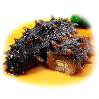 禾澹大连野生即食海参单个装速食刺参非鲜活淡干干货礼盒500g1115只1