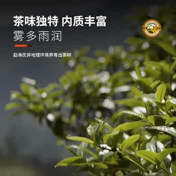 虎标茗茶香港品牌 普洱茶 熟普 勐海普洱熟茶200g礼盒装送礼送长辈
