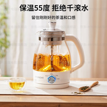 HYUNDAI韩国煮茶器 迷你养生壶一人蒸汽喷淋式蒸茶器全自动升级保温黑茶白茶 白色【不锈钢滤网】 1L