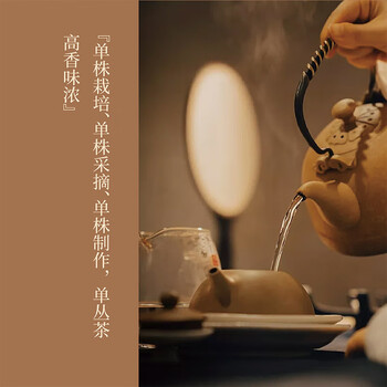 修哲乌龙茶潮州凤凰单枞鸭屎香100g中火盒装茶叶可冷泡送礼