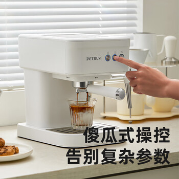 柏翠（petrus）意式压力咖啡机 智能自动萃取 NTC智能控温 小型家用办公室蒸汽打奶泡冰饮咖啡壶 PE2170 海盐白