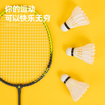 得力（deli）鹅毛比赛训练耐打型室内外稳定飞行羽毛球 经济款6只装